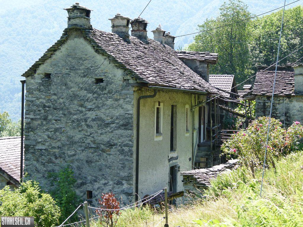 k-P1350938.JPG