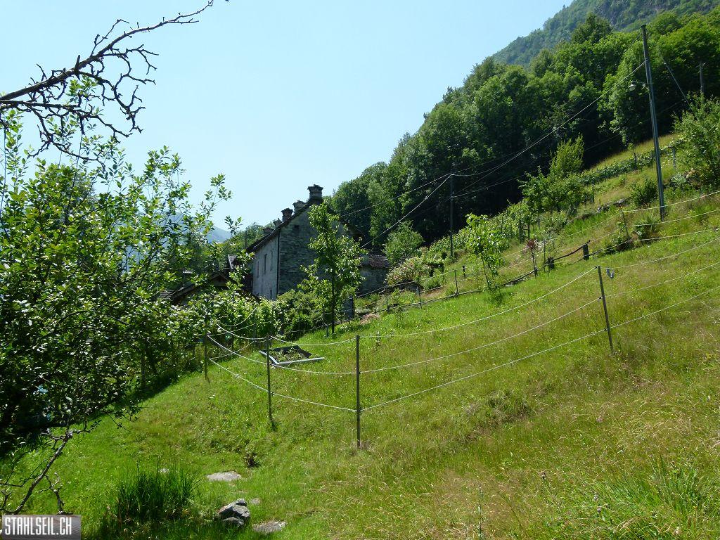 k-P1350957.JPG