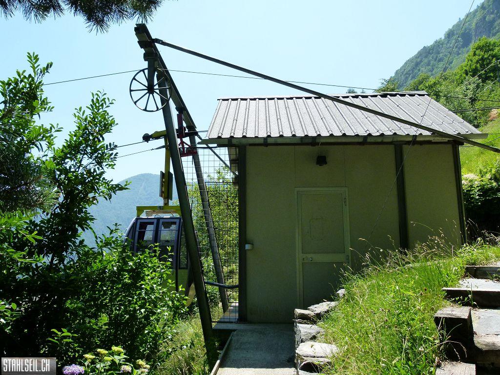 k-P1360005.JPG