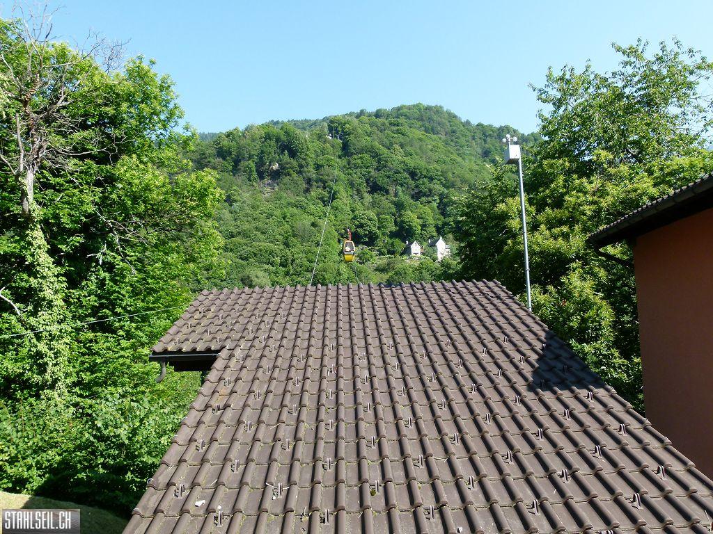 k-P1350788.JPG