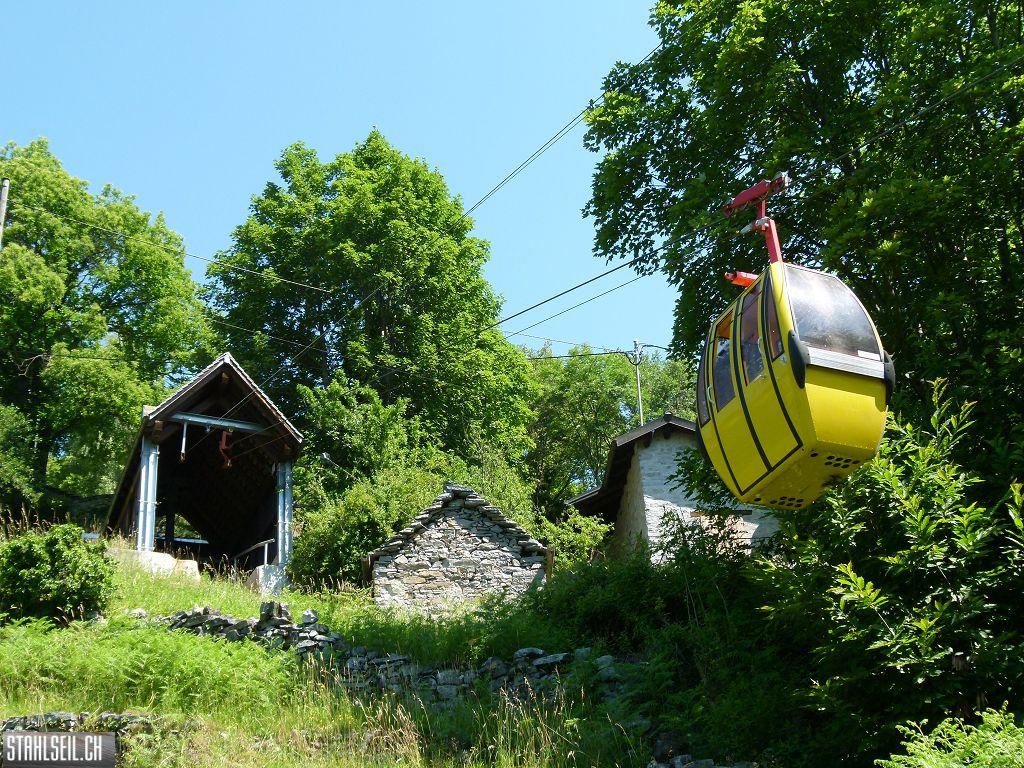 k-P1350869.JPG