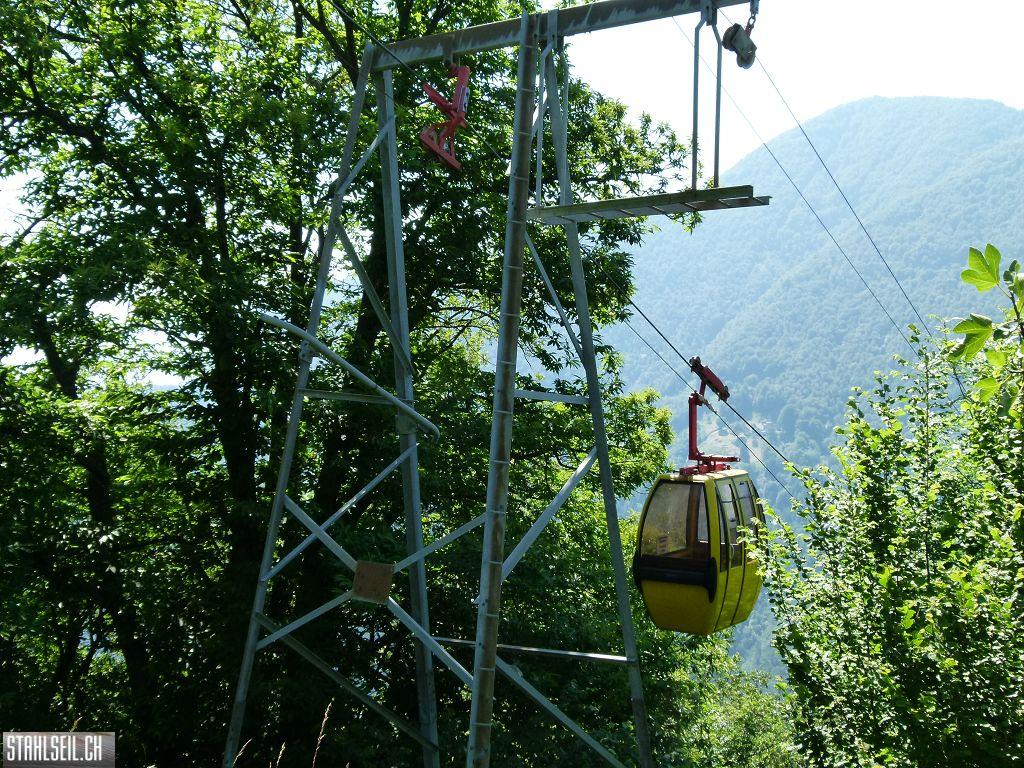 k-P1350875.JPG