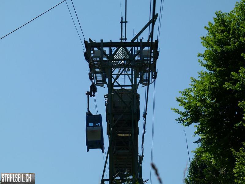 k-P1360066.JPG