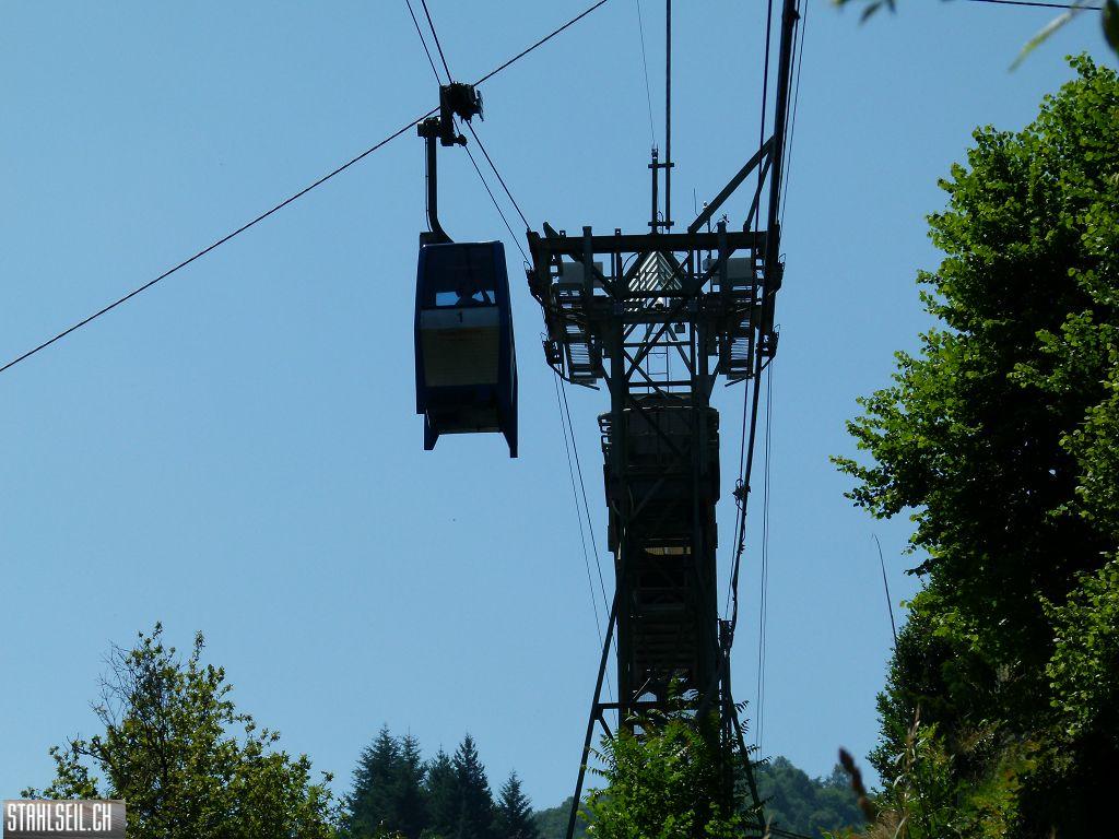 k-P1360069.JPG