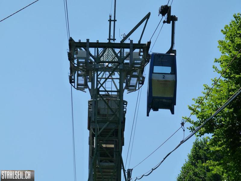 k-P1360078.JPG