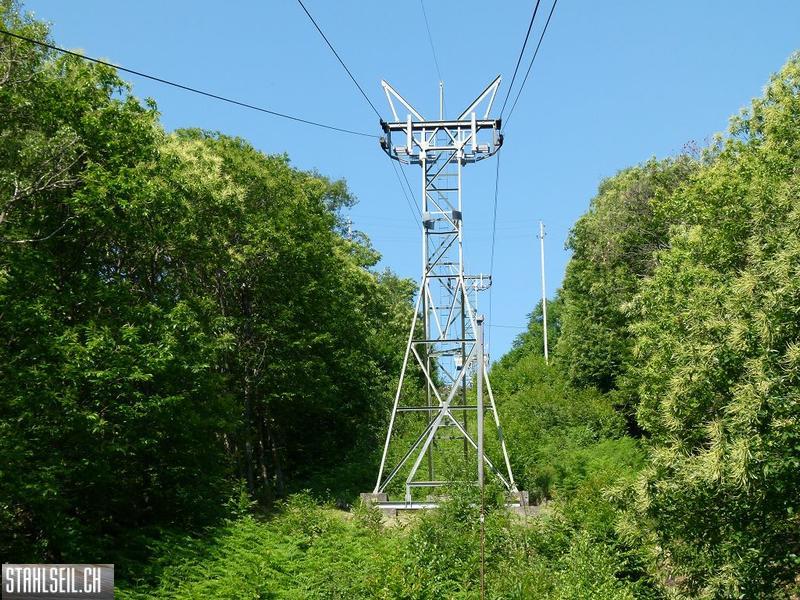 k-P1350761.JPG