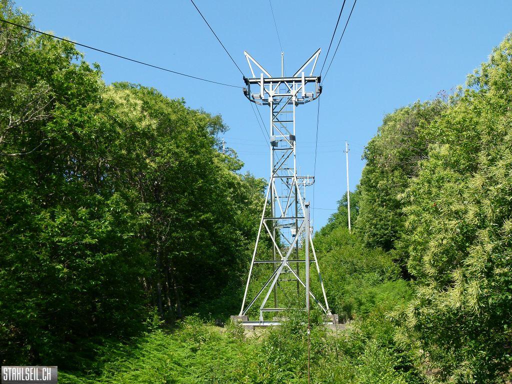 k-P1350761.JPG