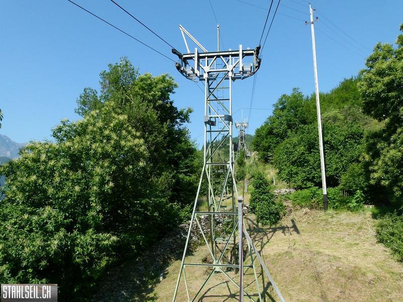 k-P1350765.JPG