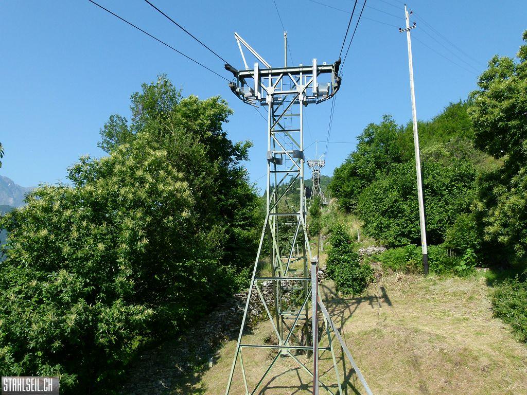 k-P1350765.JPG