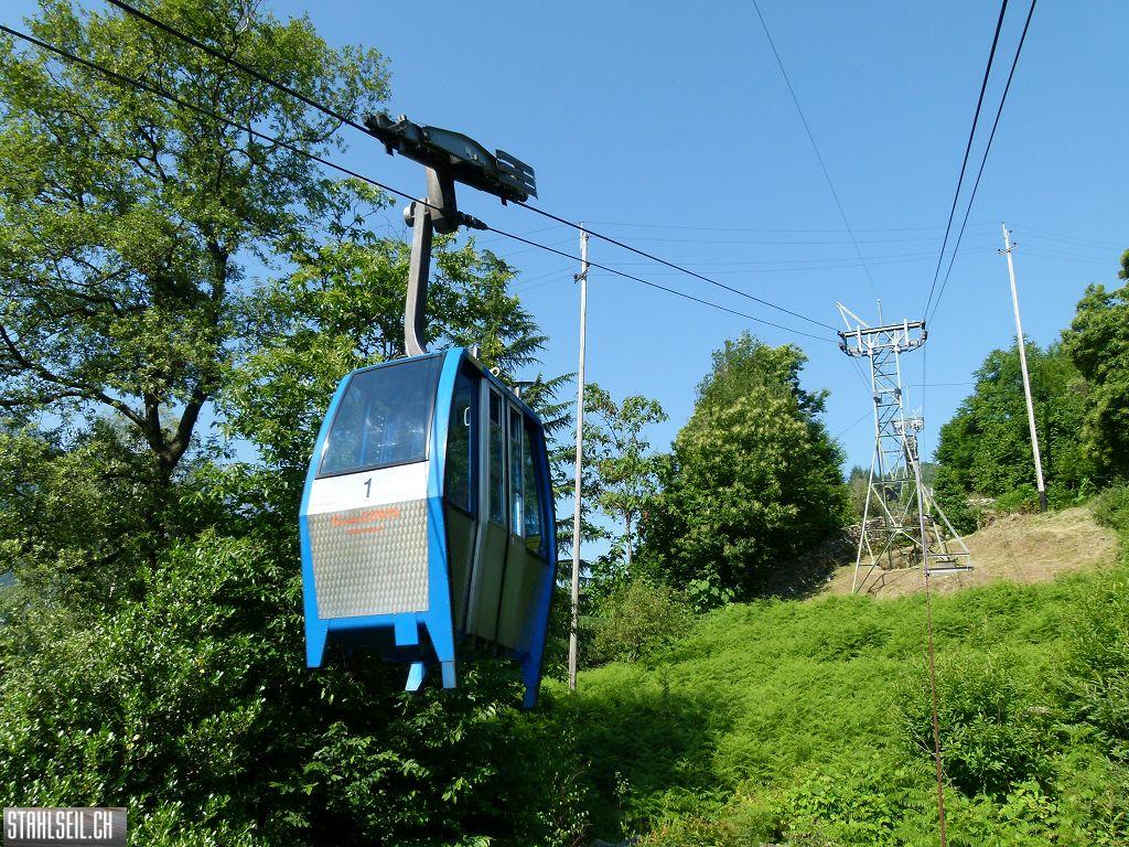 k-P1350764.JPG