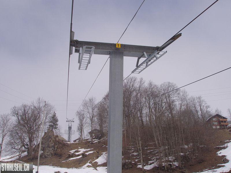 k-P3170099.JPG