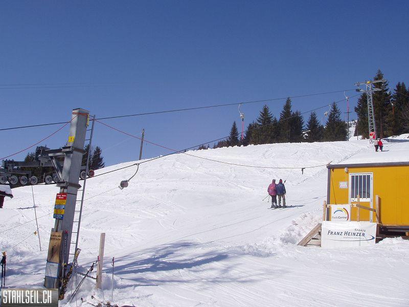 k-P3170119.JPG