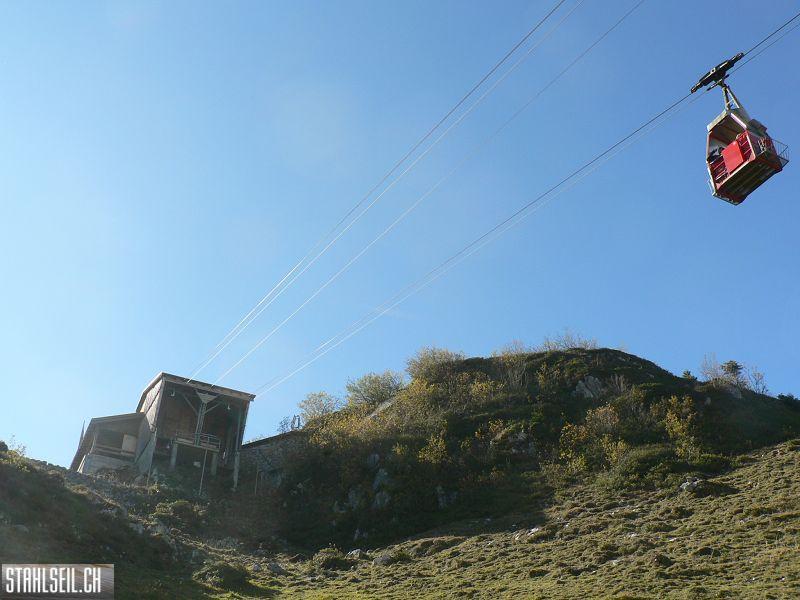 k-P1460179.JPG