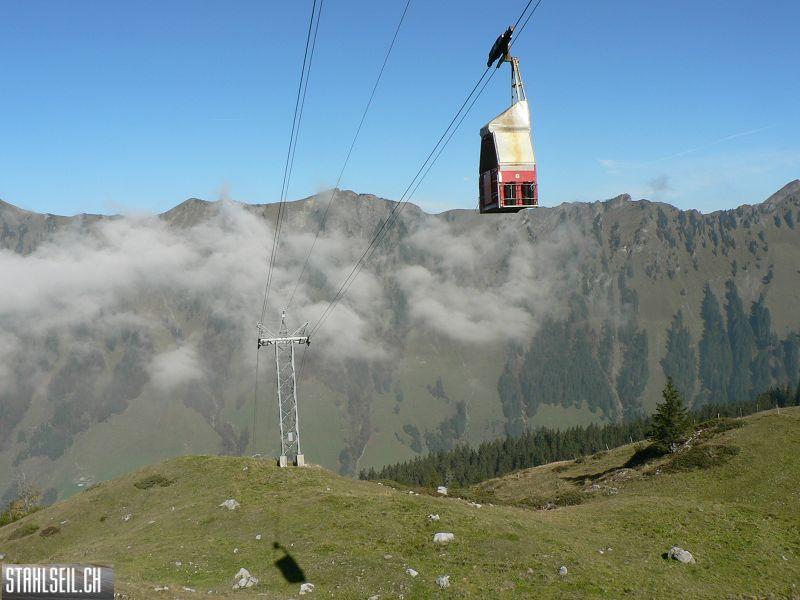 k-P1460240.JPG