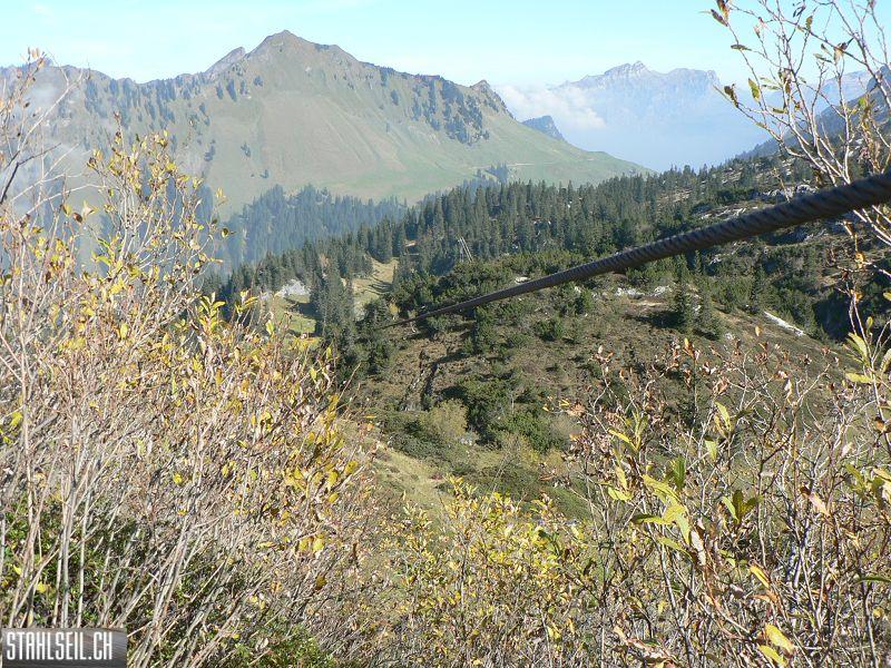 k-P1460249.JPG