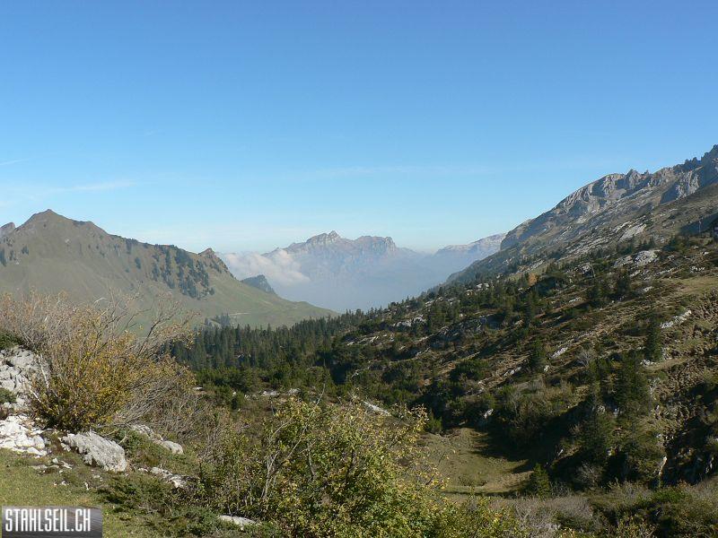 k-P1460254.JPG