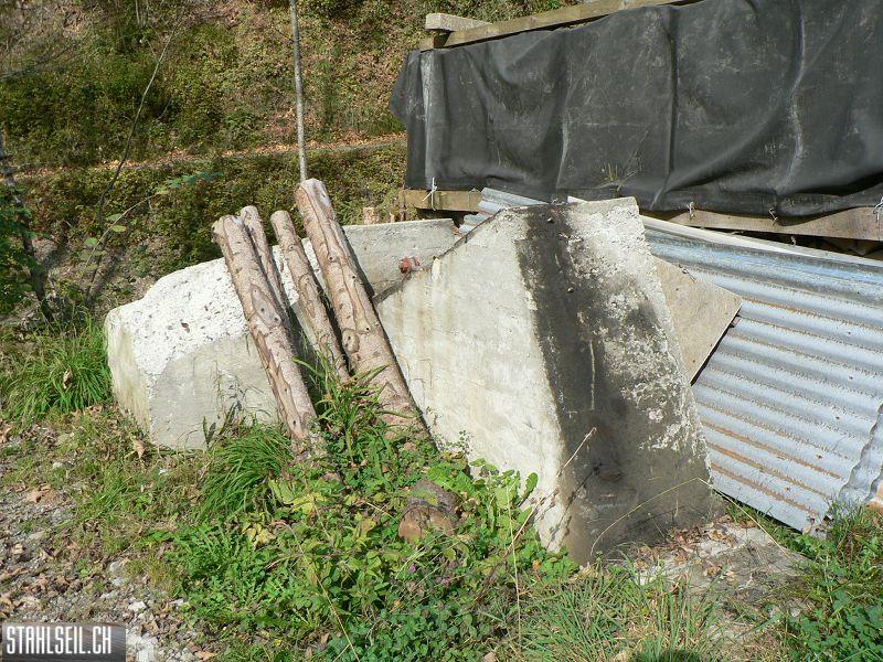 k-P1460376.JPG