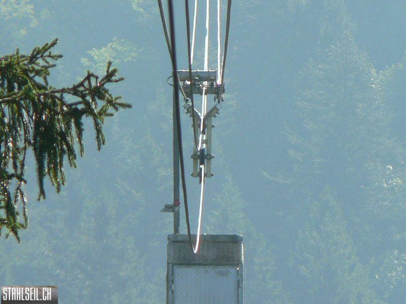 k-P1750587.JPG