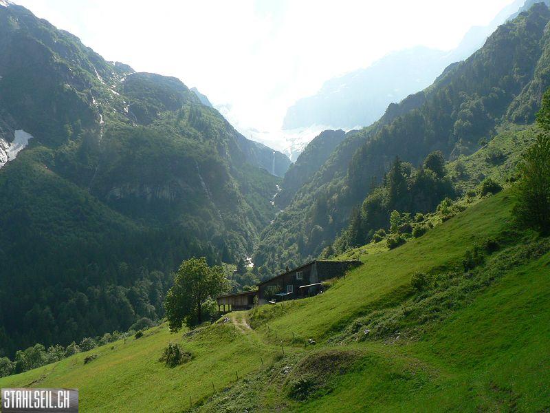 k-P1690878.JPG