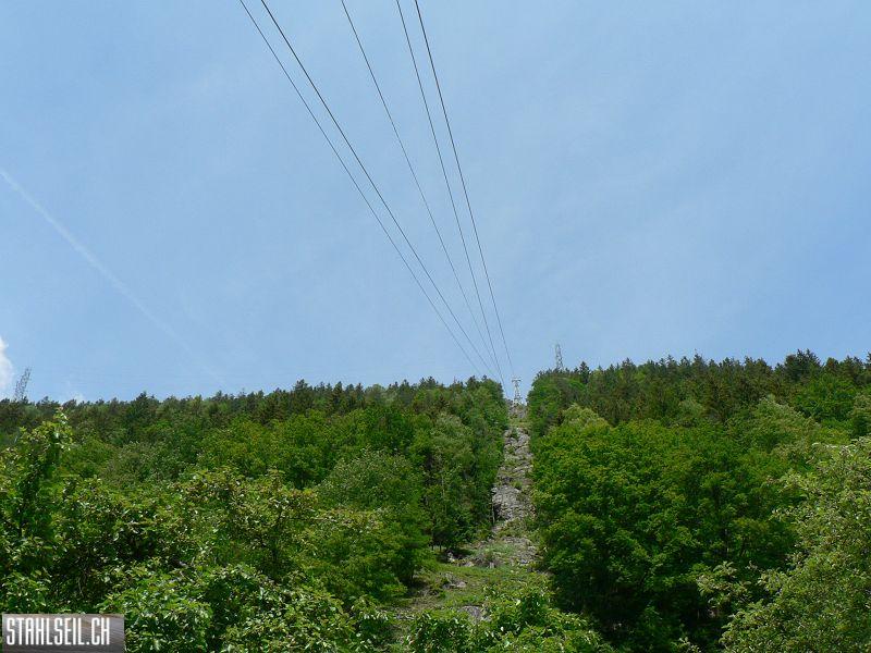 k-P1020368.JPG