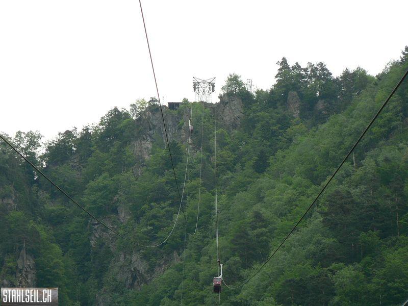 k-P1020015.JPG