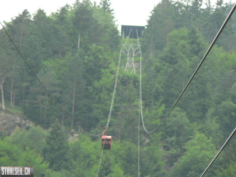 k-P1030462.JPG