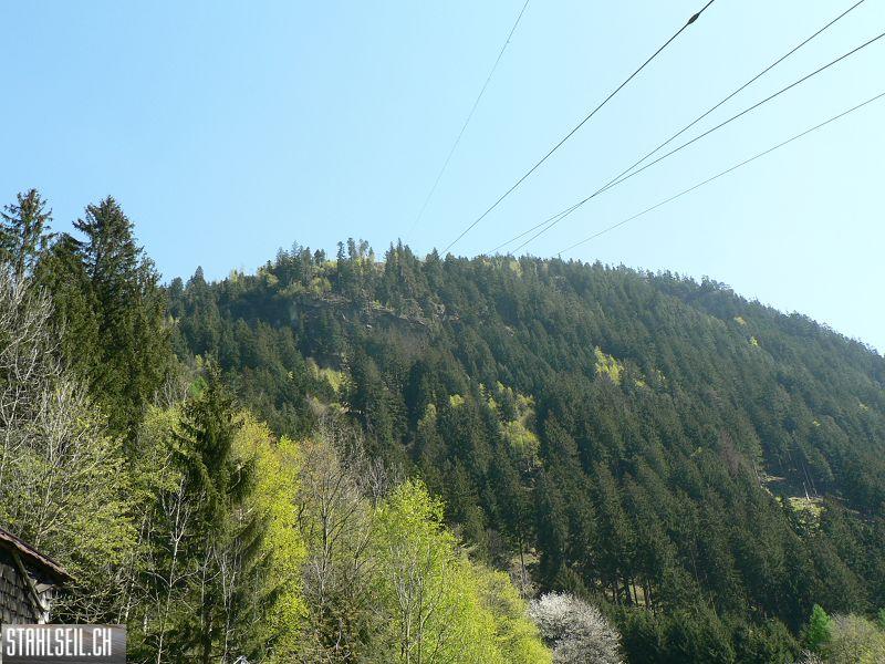 k-P1320998.JPG
