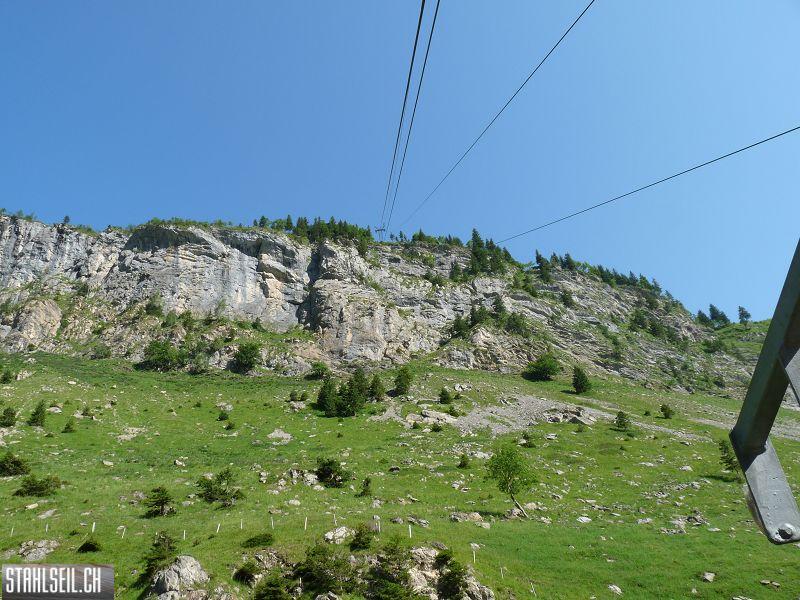 k-P1180302.JPG
