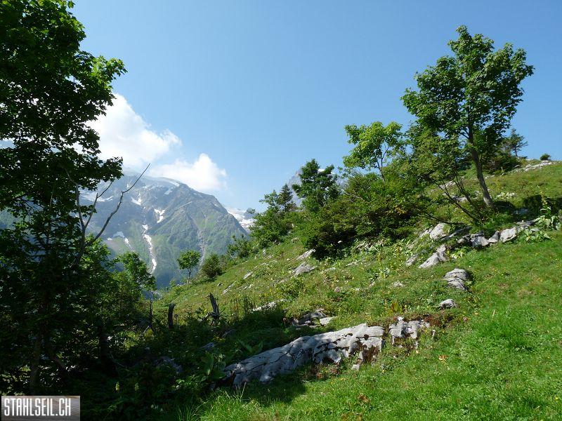 k-P1180397.JPG