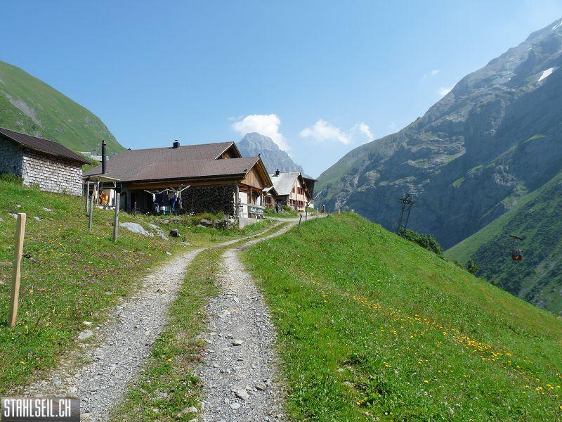 k-P1180398.JPG
