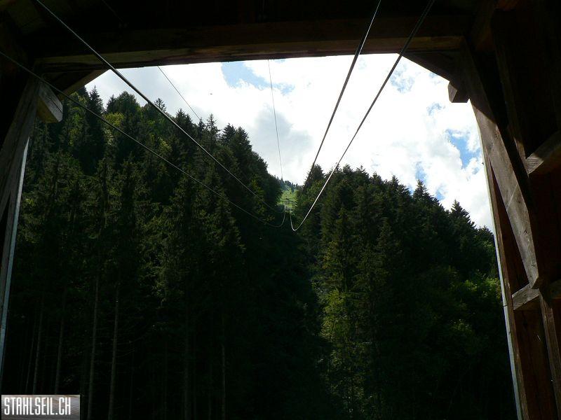 k-P1110174.JPG