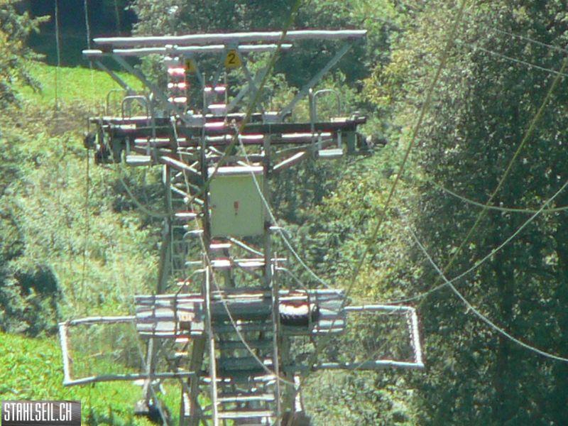 k-P1100775.JPG