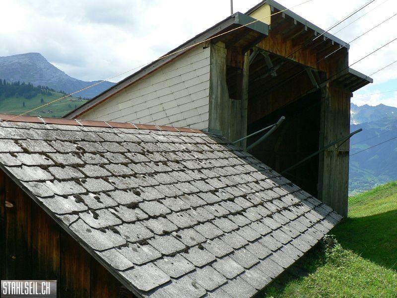 k-P1100809.JPG