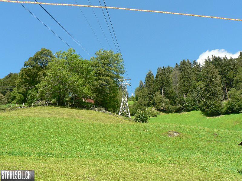 k-P1100813.JPG