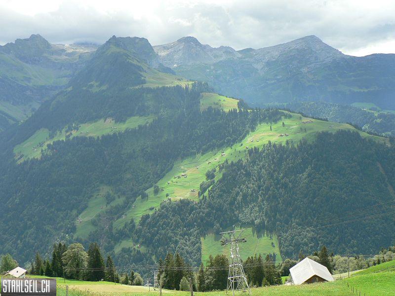 k-P1100926.JPG
