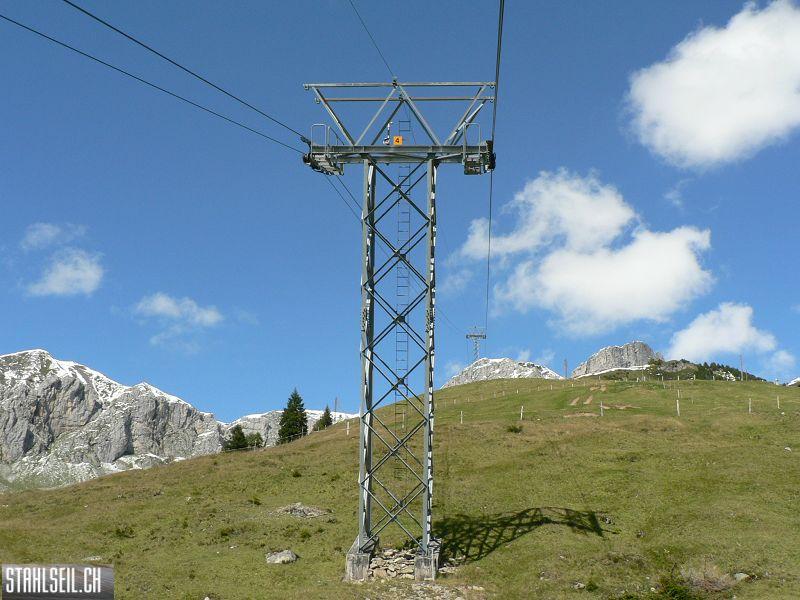 k-P1120096.JPG
