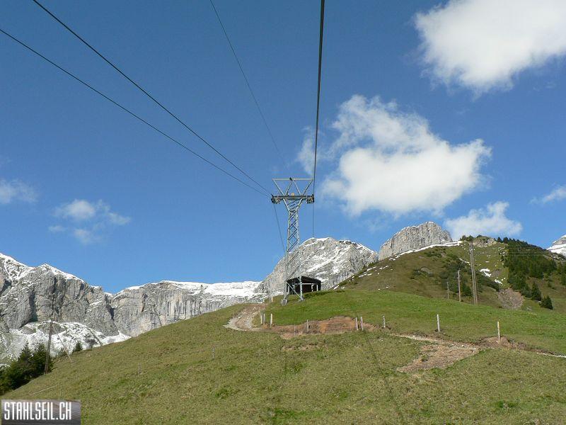 k-P1120098.JPG