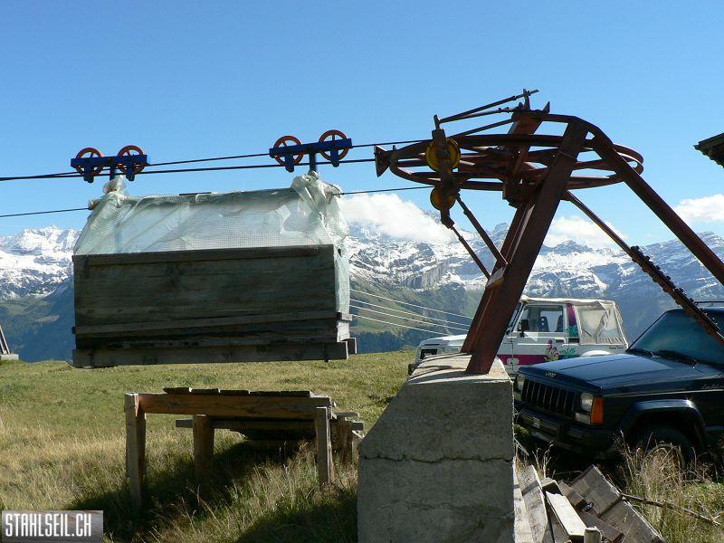 k-P1120173.JPG