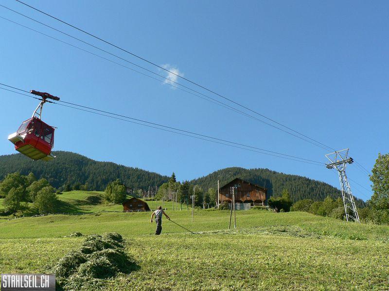 k-P1120319.JPG
