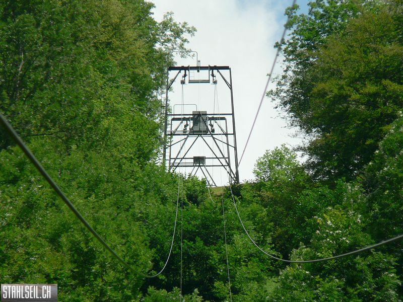 k-P1090525.JPG