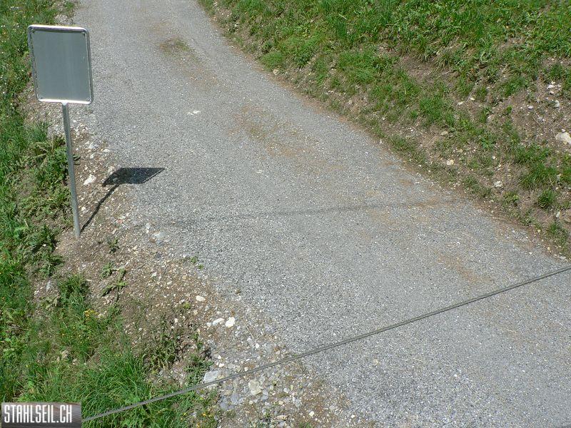 k-P1090536.JPG
