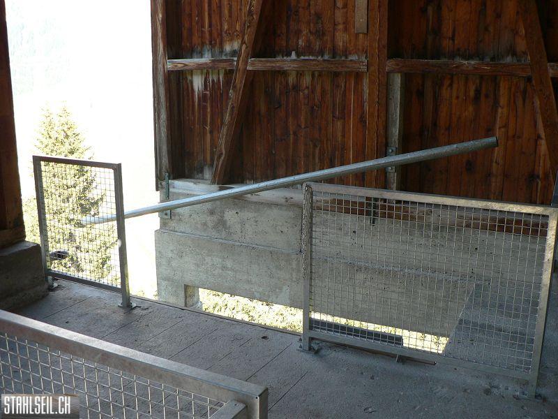 k-P1750638.JPG