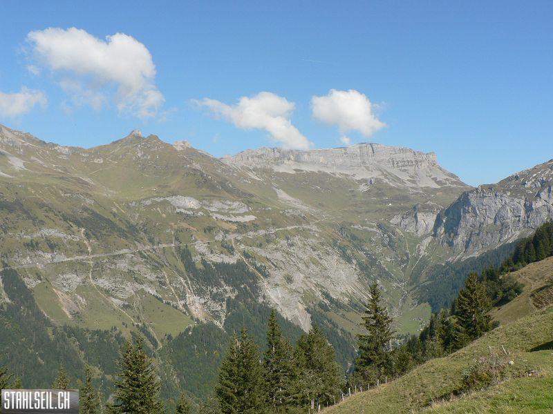 k-P1750642.JPG