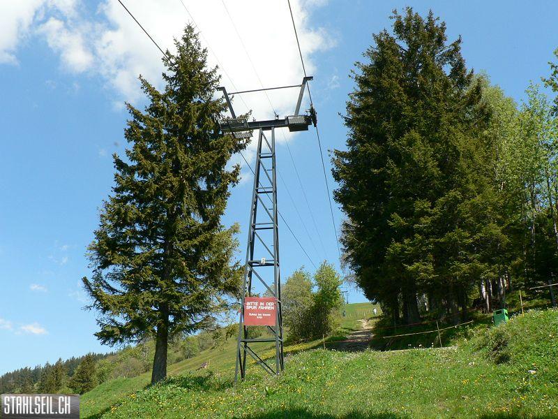 k-P1030282.JPG