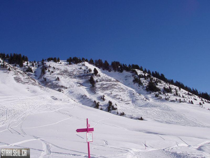 k-P1080137.JPG