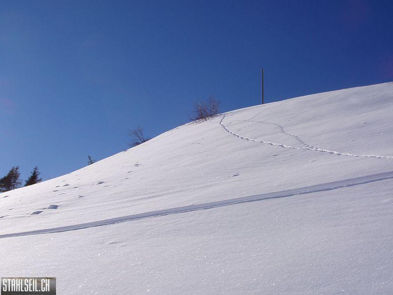 k-P1080144.JPG