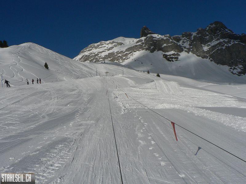 k-P1780214.JPG