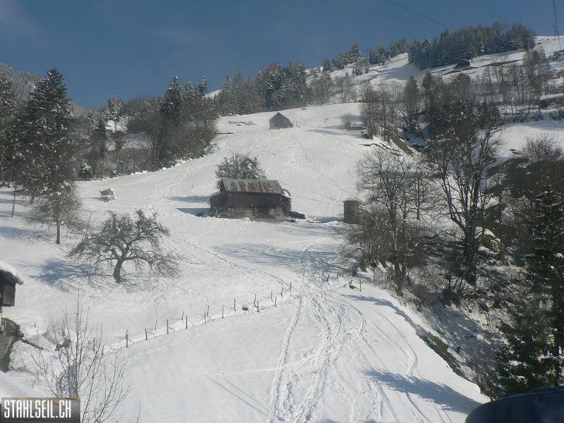 k-P1290190.JPG