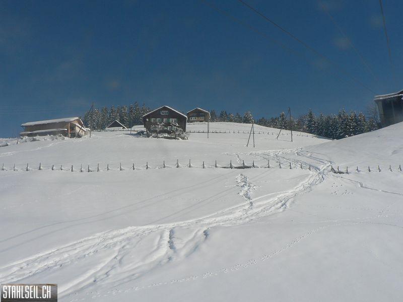 k-P1290193.JPG