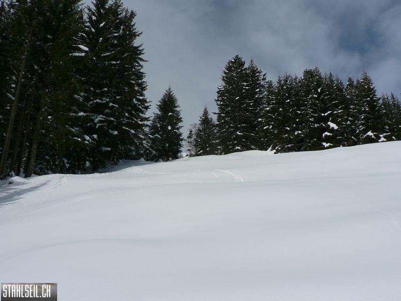 k-P1290325.JPG